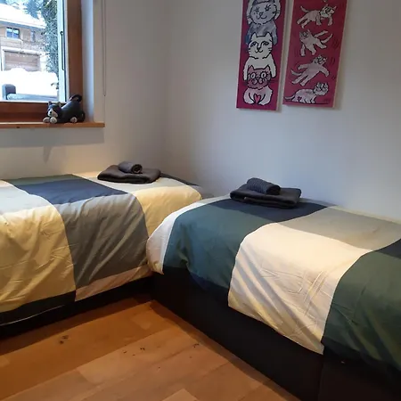 Petit Combin-modern Apartment, Close To The Lift * Le Châble